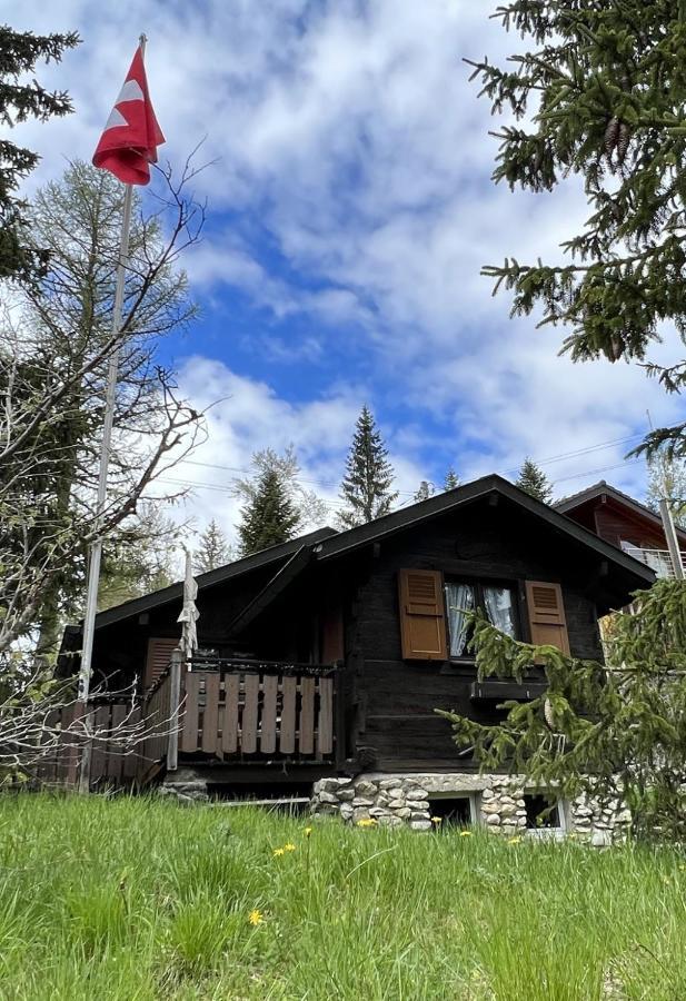 Entire Cozy Chalet In St-Cergue - 30 Min From Geneva Saint-Cergue Exterior foto
